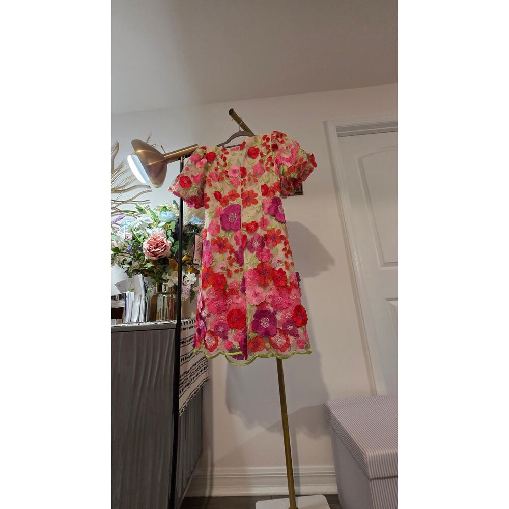 Eliza J Pink Multi 3D Floral Appliqué Embroidered Dress Size 4 NWT Zip Closure - Picture 12 of 12